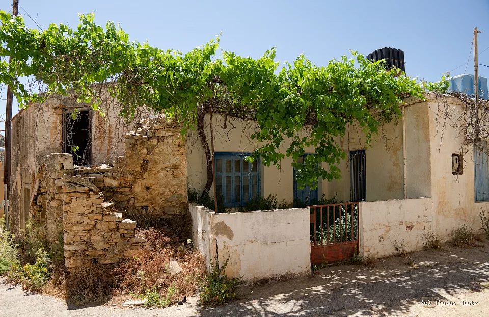 P1000538