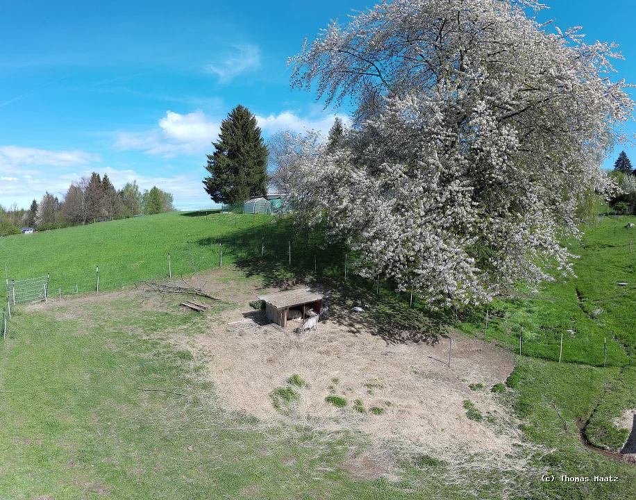 pano21