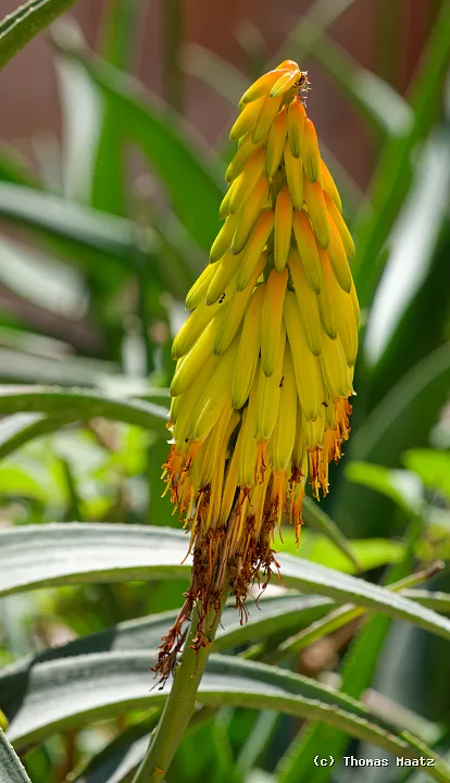 P1000466