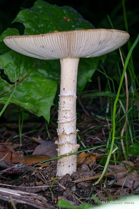P1004193