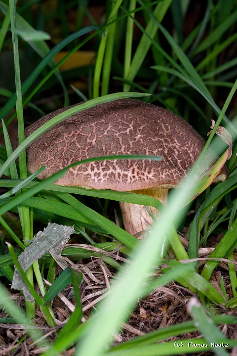 P1004213