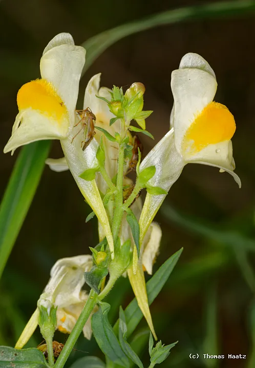 P1004304