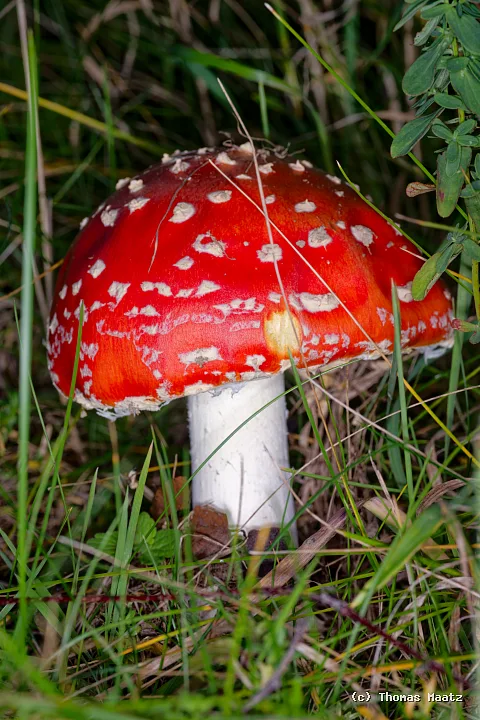 P1004330