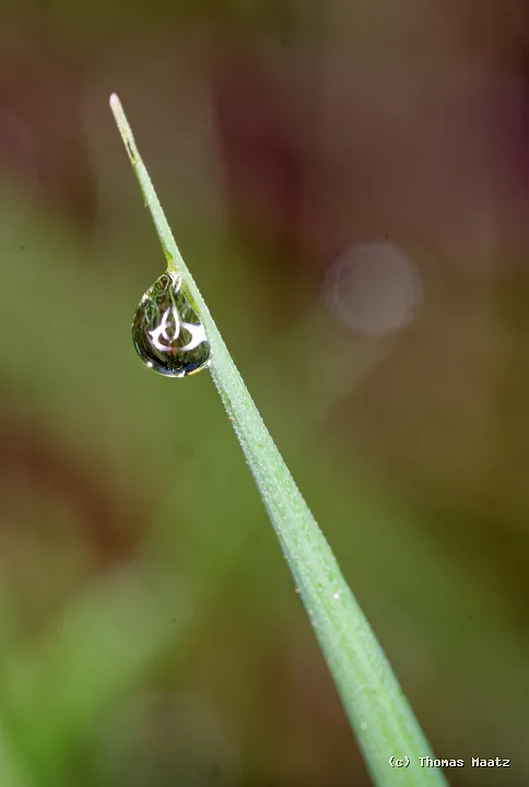 P1004523