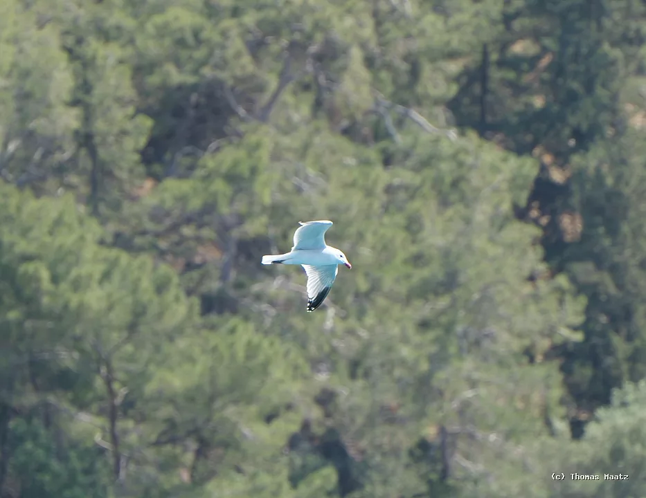P1000978