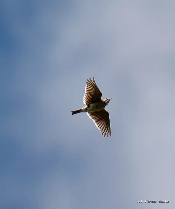 P1001350
