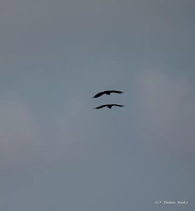 P1001575