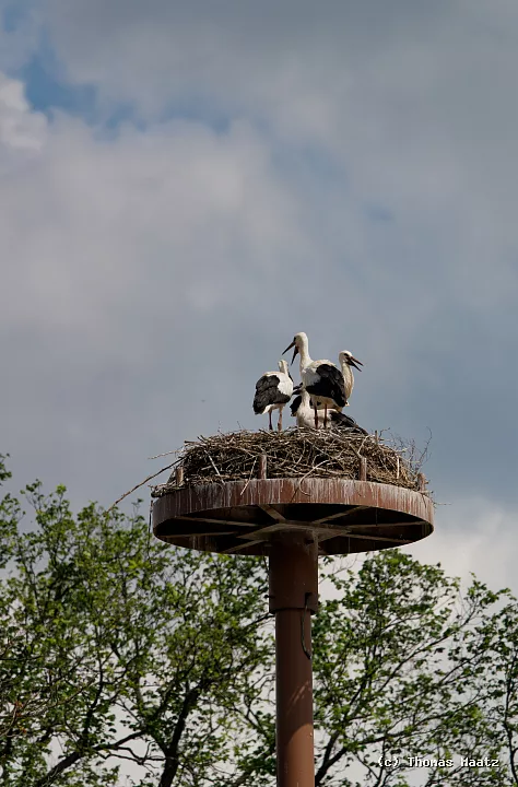 P1001811
