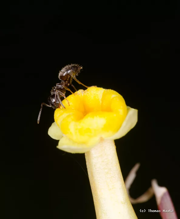 P1003523