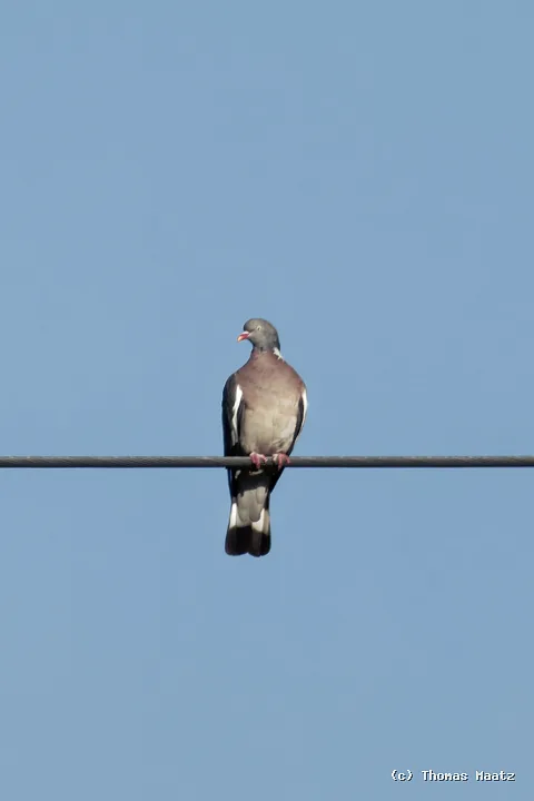 P1003839
