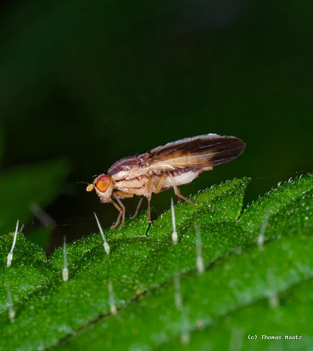 P1004581
