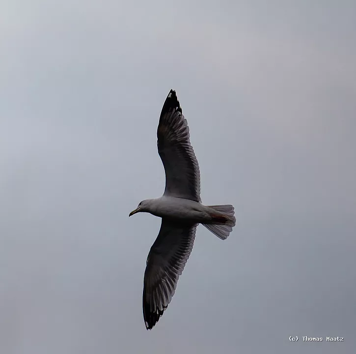 P1016046