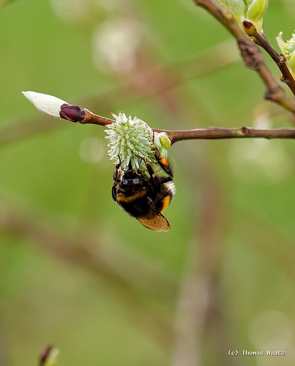 P1016871
