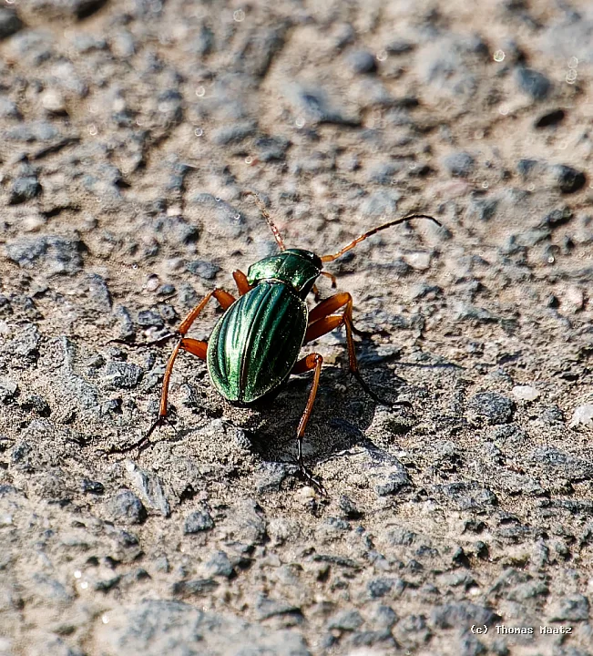 P1017343