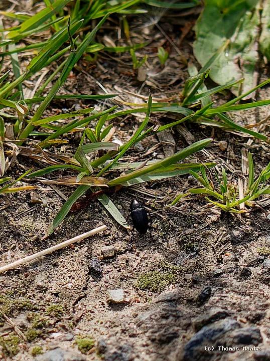 P1017496
