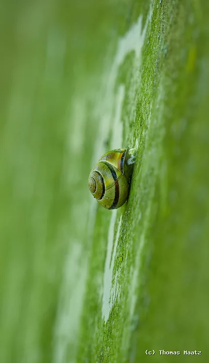 P1017609