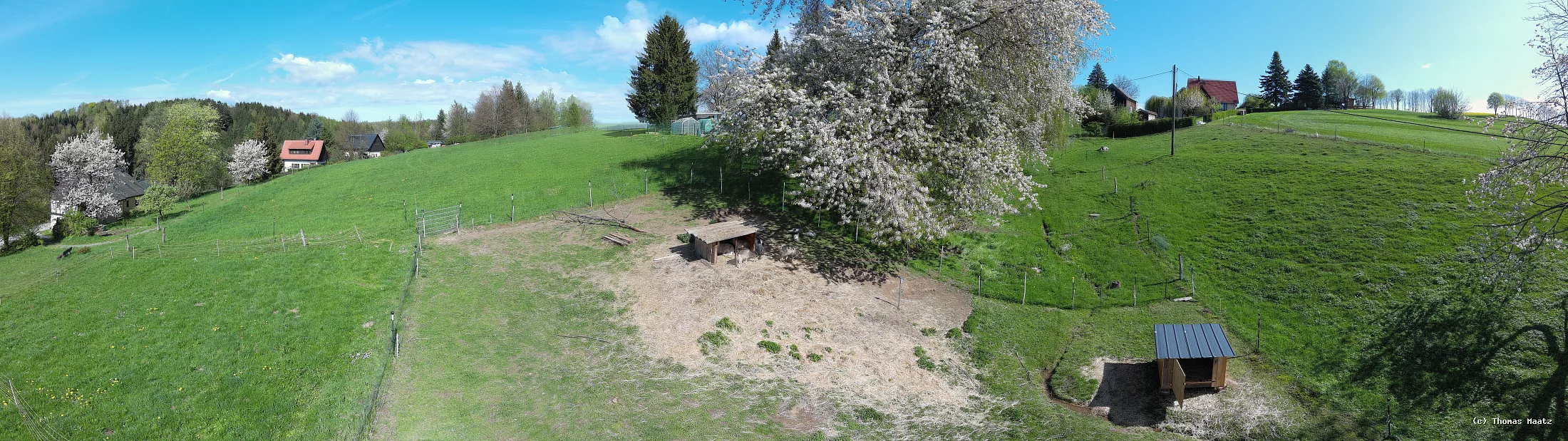 pano20